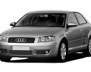 A3 8P