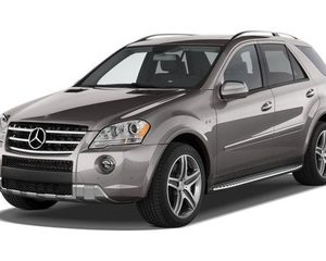 AMG M