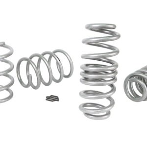 Coil Springs - Lowered