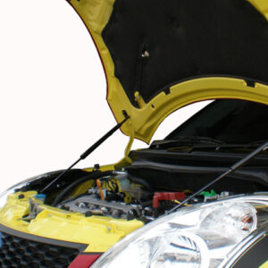 GReddy Carbon Bonnet Struts for Suzuki Swift Sport ZC32S (12-17)